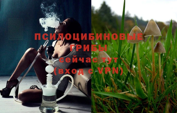 гашишное масло Сатка