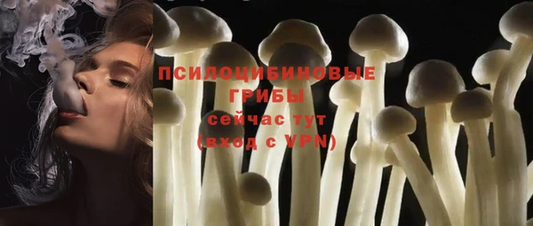 МДПВ Алексин